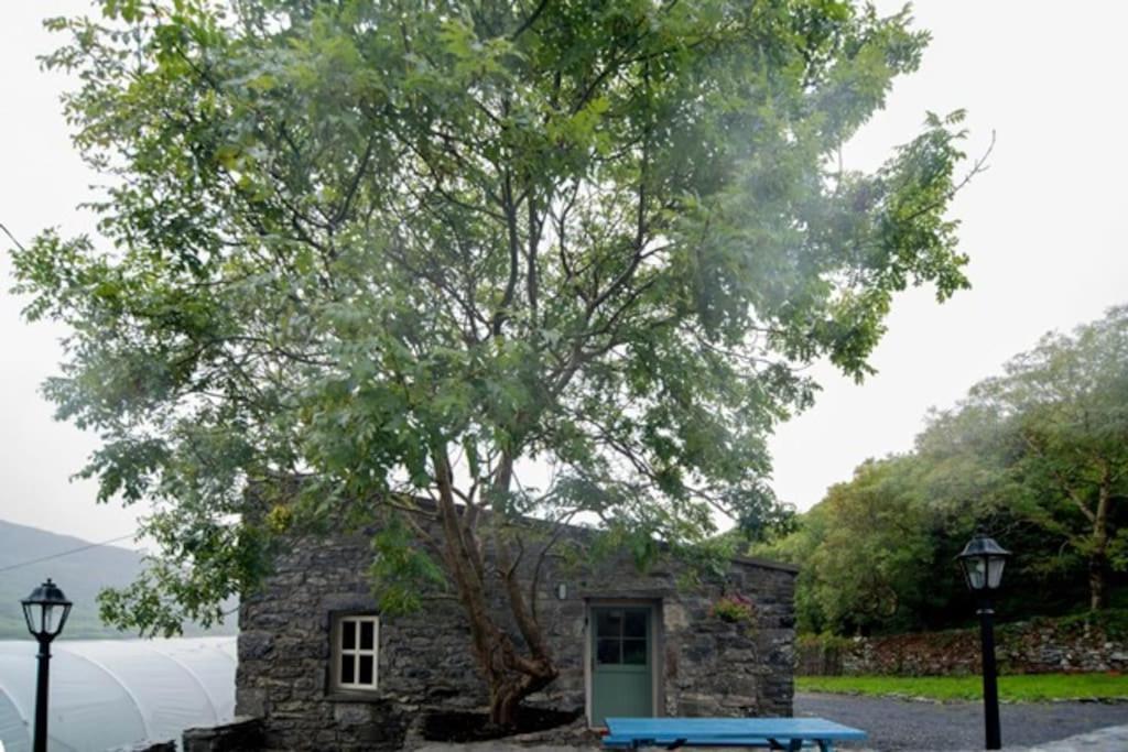 Fermoyle Properties Glynn'S Cottage Fanore Kültér fotó
